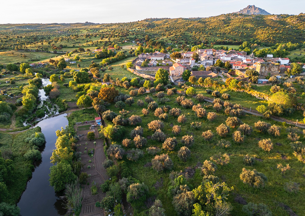 Pela Terra - Biennial Gathering of Art & Ecology (2023-2025)