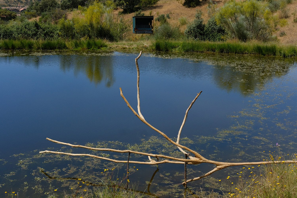 03_DSCF5900