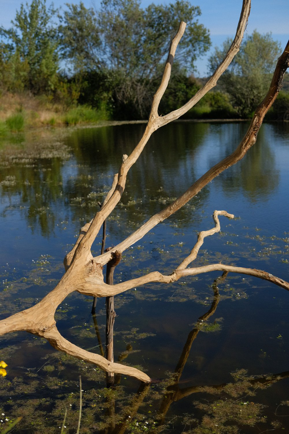 05_DSCF5945